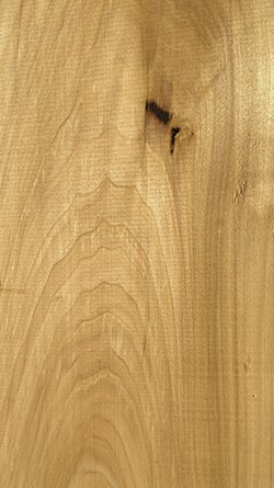 Madera fina "Poplar".