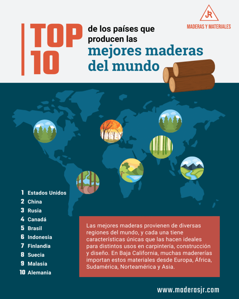Infografía sobre el top 10 de las mejores maderas | Imagen hecha en Canva, por Maderas y Materiales JR