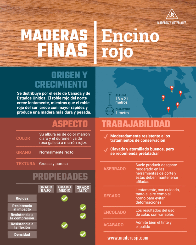 Infografía sobre la madera fina: encino rojo | Imagen hecha desde Canva, por Maderas y Materiales JR