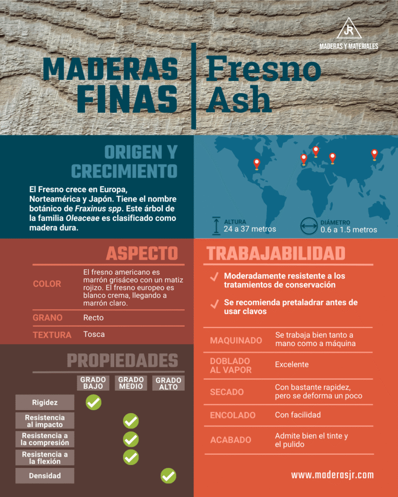 Infografía sobre la madera fina: fresno o ash | Imagen hecha desde Canva, por Maderas y Materiales JR