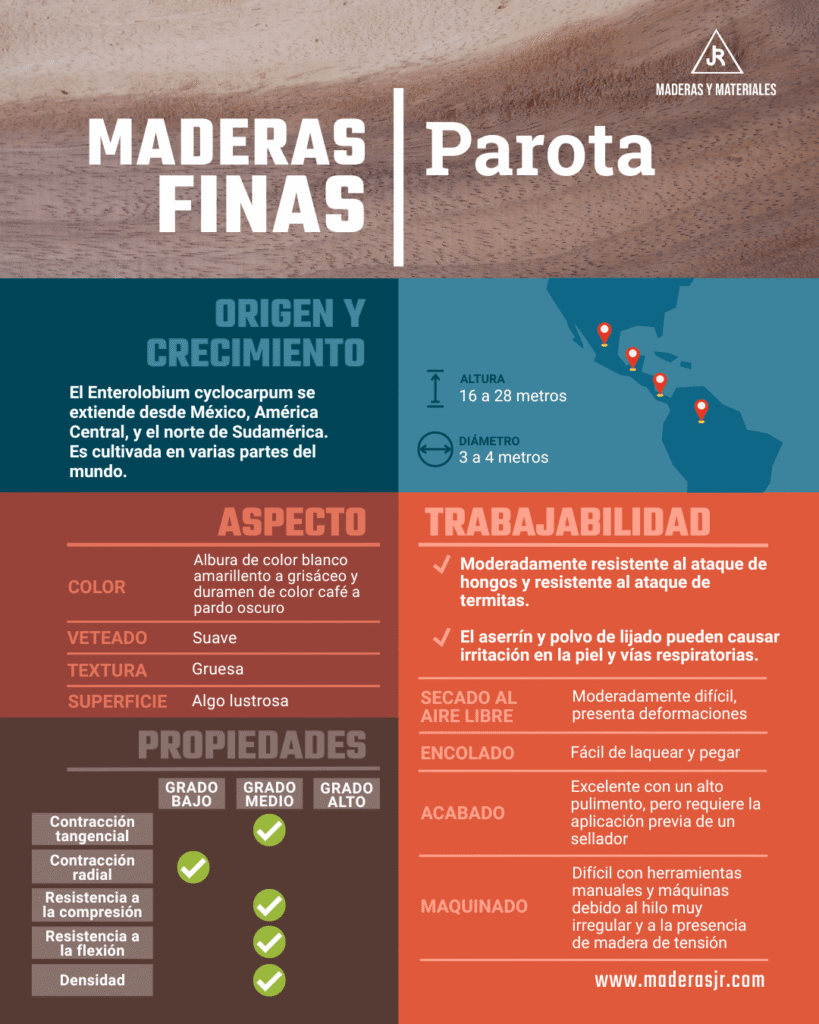 Infografía sobre la madera fina: parota | Imagen hecha desde Canva, por Maderas y Materiales JR