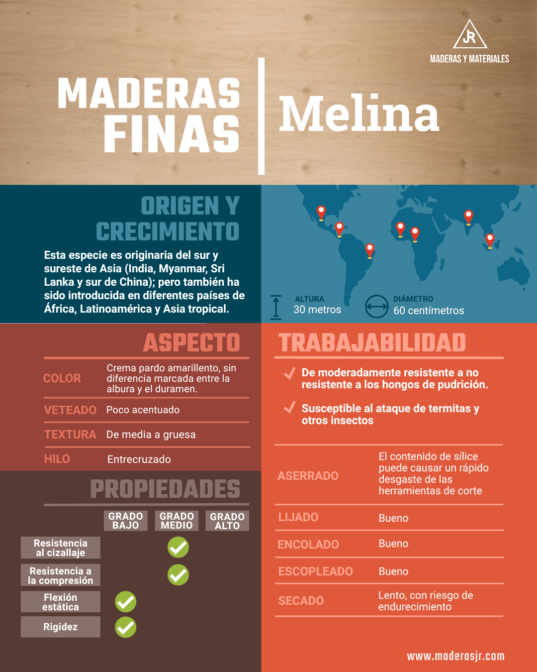 Infografía sobre la madera fina: Melina | Imagen hecha desde Canva, por Maderas y Materiales JR